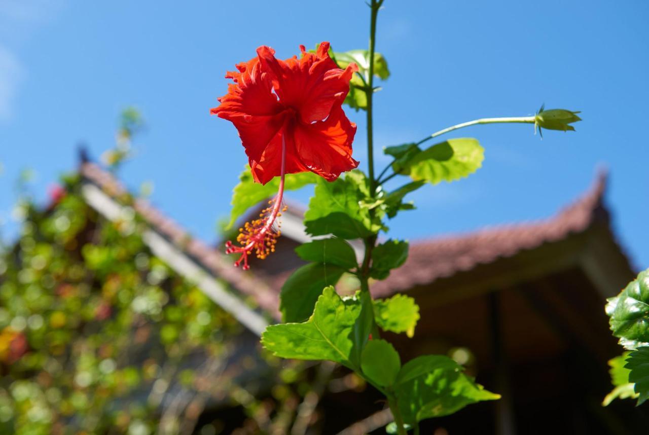 Hotel Jasri Bay Hideaway Exterior foto