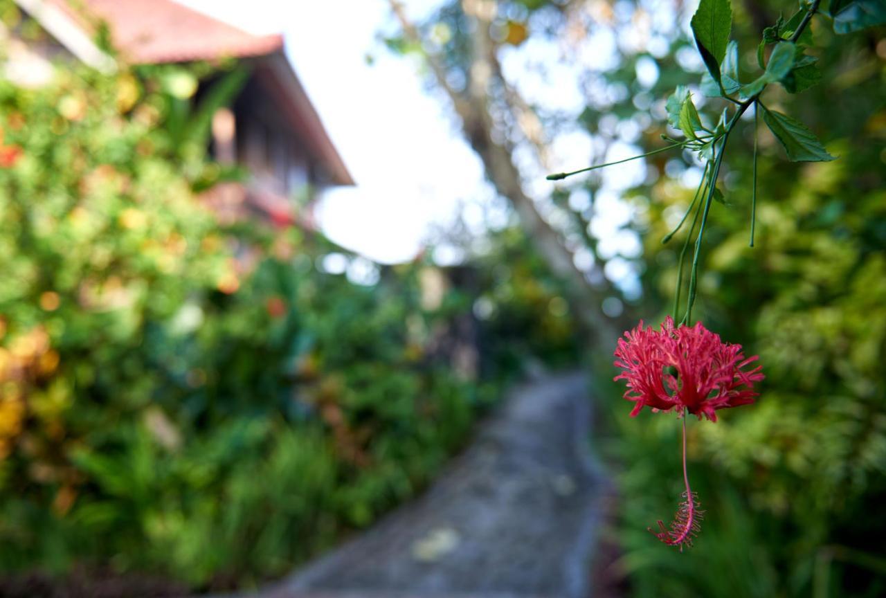 Hotel Jasri Bay Hideaway Exterior foto