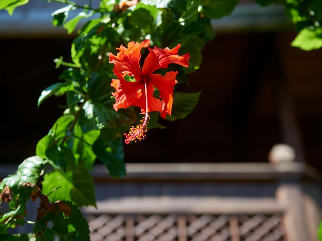 Hotel Jasri Bay Hideaway Exterior foto